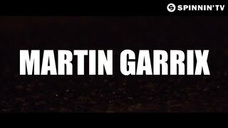 Martin garrix animals