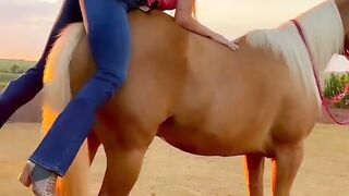 Horse ???? riding shorts tik tok