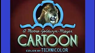 funny video of tom and jerry cartoon