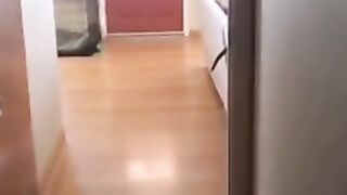WATCH OUT THE BEST MEMES TIKTOK COMPILATION 2022 now