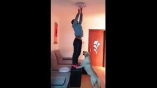 Smart Dog