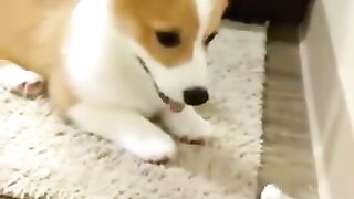 He likes this