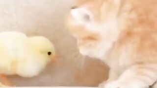Cute friends