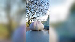 Tiktok cooking
