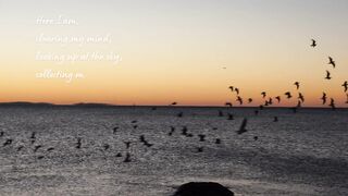 Heal Any Disease: Physical Mental Spiritual Illness, Binaural Beats | 9 Solfeggio Frequencies