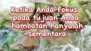 Fikus