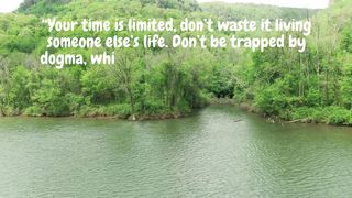 Quotes of the day #14