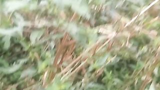 Animal's lover 111