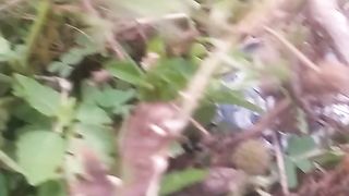 Animal Lover 2