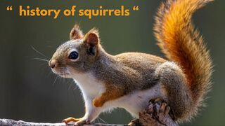 history of squirrels