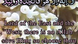 surah muzammil english transliteration