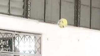 Lelaki sejati????????