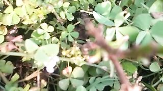 Animal's lover 115
