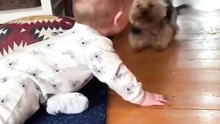 baby and dog cute
