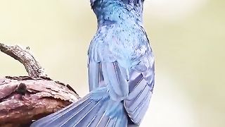 Beautiful nature 119