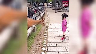 respect videos EP 3l like a boss