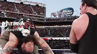 WWE реслинг 276