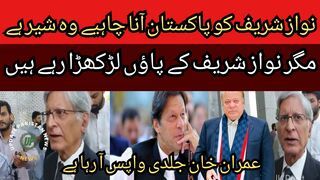 Nawaz Sharif should come to Pakistan, he is a lion... But Nawaz Sharif's feet are faltering..