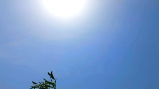 Best Nature Video | Deep Relaxation | Natural Beauty | Viral Short Video