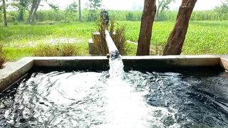 Naturally Beautiful Environment | Meditation for Sleep | Viral Video #viral