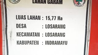 Produksi Garam