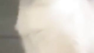 ???????????????? 103