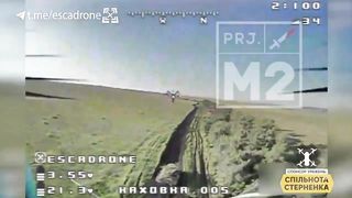 Ukraine Russia War | Ukrainian Drone Strikes Russian Tank Disguised with Vegetation | RCF