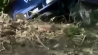 Funny Video Moment