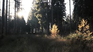 "Embracing the Serenity of Nature"