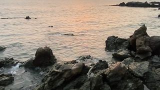 "Solitude in Nature: A Visual Retreat"