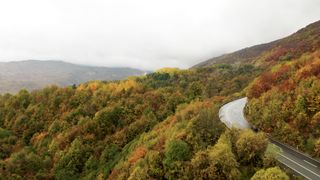 "Safeguarding Eden: A Journey through Nature's Beauty"