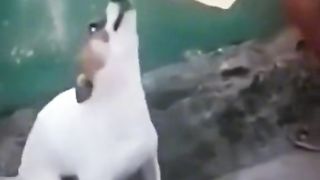 Приколи 451