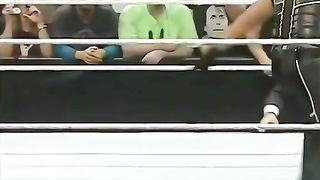 WWE реслинг 281