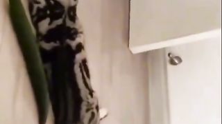 Приколи 455