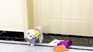 Приколи 458