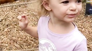 Bébé dinosaure ???????? #drole #humour #rire #famille