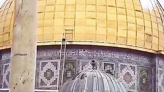 TikTok video 71