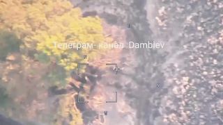 Ukraine Russia War | Lancet Strike on AFU D-20 Artillery Piece by Iksovodov | RCF