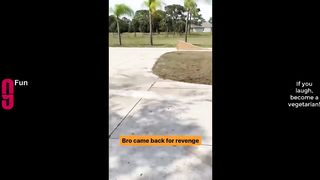 video funny part 35