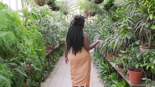 "Nature's Masterpiece: A Visual Voyage"