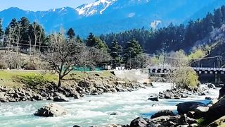 Natural video 52