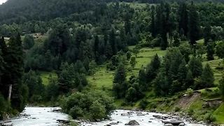 Natural video 53