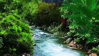 Natural video 56
