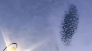 video 252
