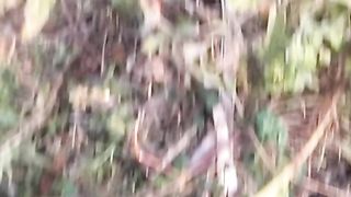 Animal's lover 129