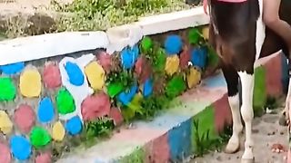 Naik kuda diatas air