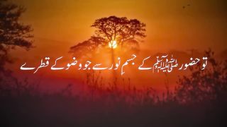 Nabi Kareem ﷺ Ny Na Ik Jaga Wazu Kar Rahy Thy