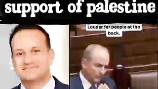 Airland supports palestine