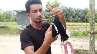 Many people do not believe that all animals are tame