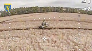 Ukraine Russia War | Ukrainian FPV Drone Takes Out Russian TOR Surface-to-Air Missile Syst | RCF